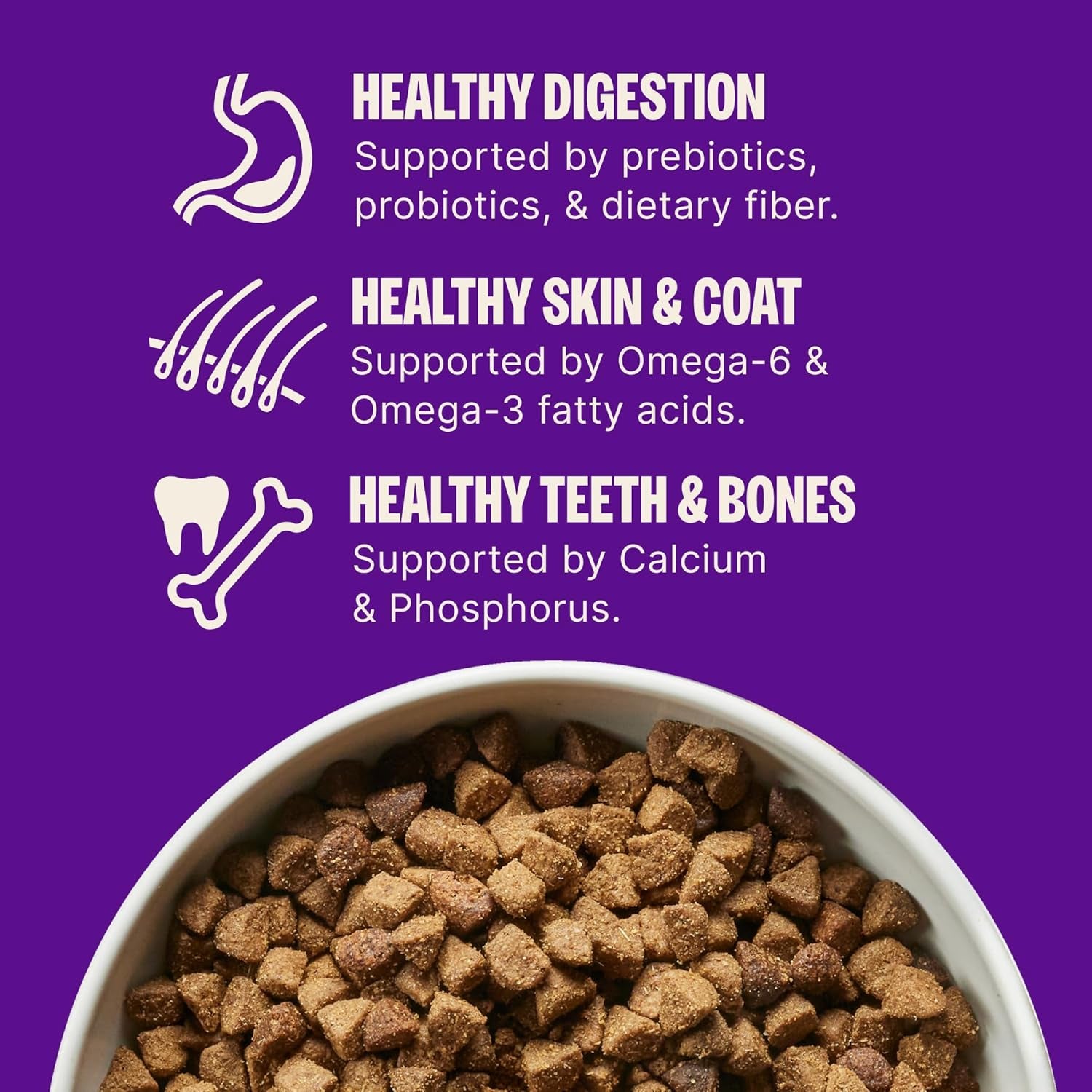 Complete Health Natural Dry Small Breed Dog Food Small Breed Puppy Turkey, Salmon & Oatmeal